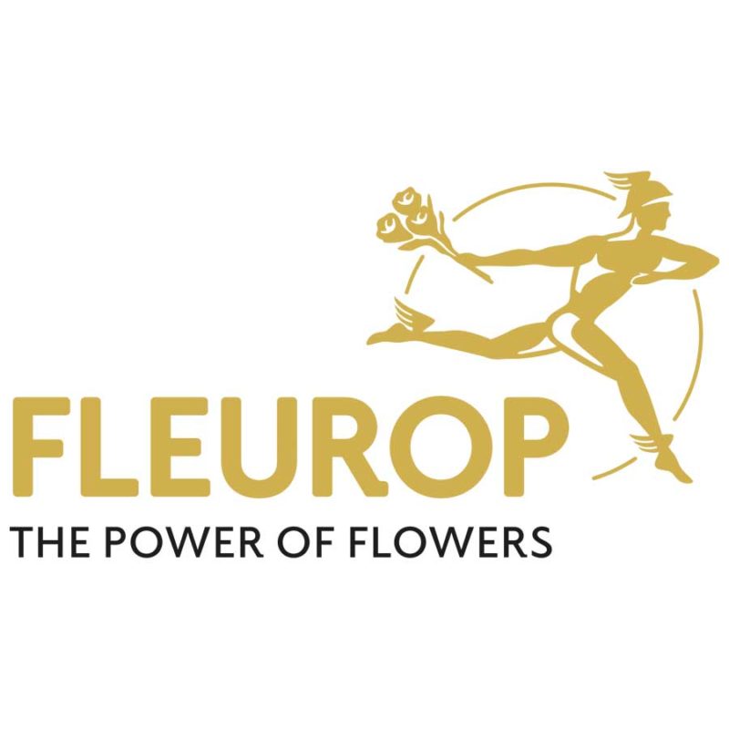 Fleurop900 900