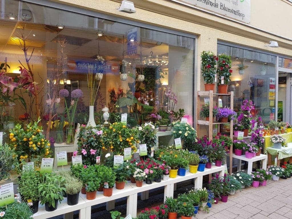 Sommerblumen bei Flowerpower Schönaugasse 5