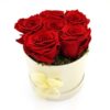 Rosenbox rot 6x Ewige Rose