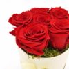 Rosenbox 6x Ewige Rose rot