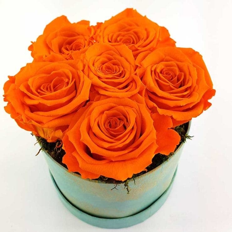 Ewige Rosen 6er orange - STABILISIERTE BLUMEN - Blumen flowerpower Graz