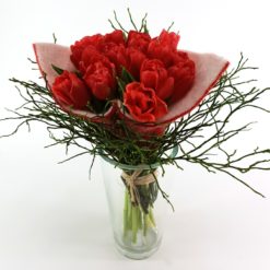 Tulpen Im Filz Rot Vase