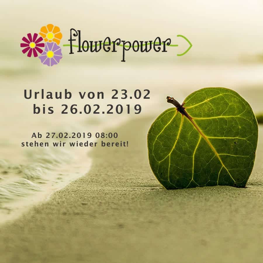 Urlaub - wir tanken Energie