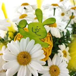 Osterhase grün mit Margerite