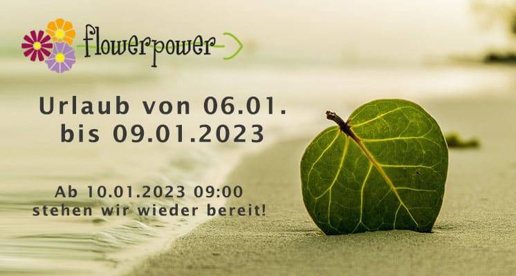 Urlaub ab 06.01.2023