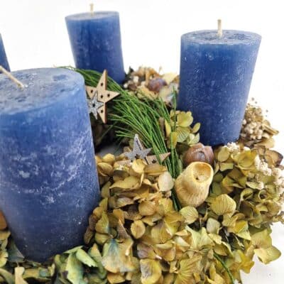 Advent Hortensien Blau