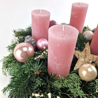 Advent Tanne Rosa