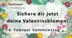 Jetzt für Valentinstag vorbestellen